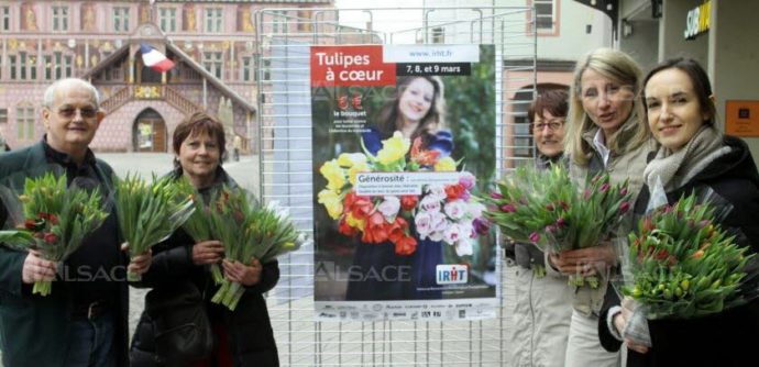 Tulipes à cœur, Infarctus du Myocarde