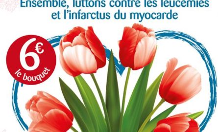 Trentième Opération Tulipes à Cœur – le retour en images