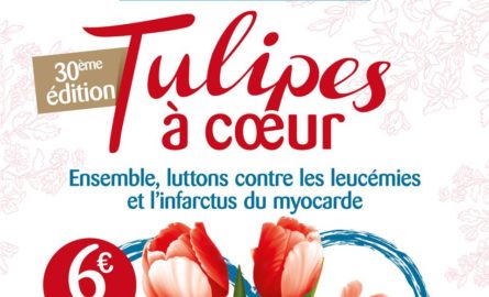 Bilan de l’opération tulipes à cœur 2019