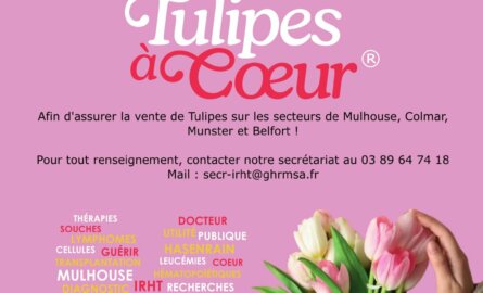 Appel à bénévoles Tulipes à Cœur®