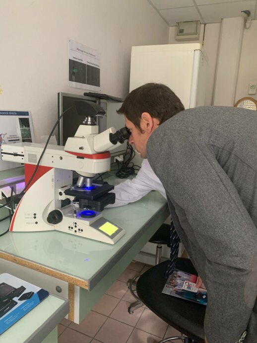 Le sous-préfet de Mulhouse, Julien Le Goff, observe un échantillon au microscope à fluorescence à l’IRHT.